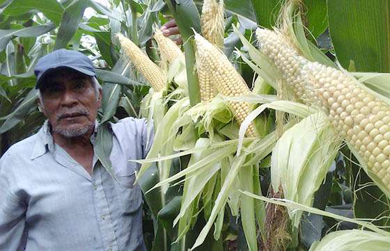 Comunidades del norte salteño se organizan para producir y comercializar verduras